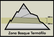 Esquema de los diferentes pisos de vegetacin presentes en Canarias. Se destaca la Zona de Bosque Termfilo