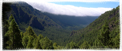 Interior de la Caldera de Taburiente, en La Palma