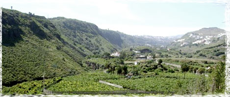 Barranco Guiniguada